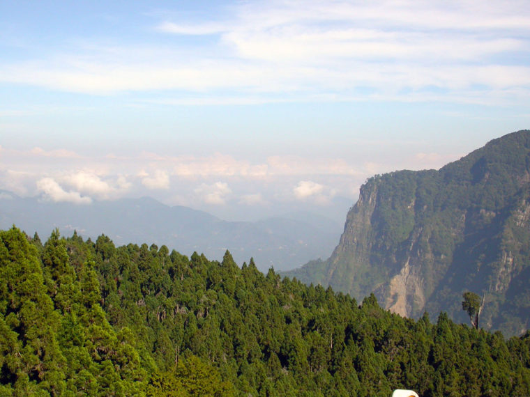 祝山の展望台（標高2451ｍ）から望んだ阿里山の森林地帯（筆者撮影）