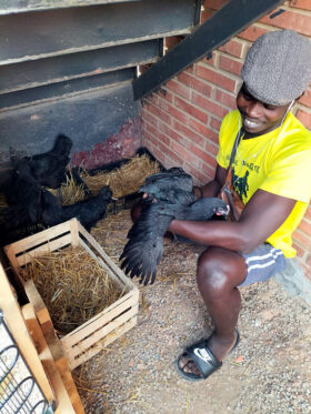 ニワトリを飼育中のアフリカ移民（AVSA提供）