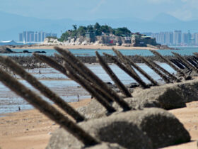 上陸阻止の杭が打ち込まれた金門島の海岸。対岸のビル群は厦門の市街（写真:clarin.com）