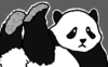 パンダの街